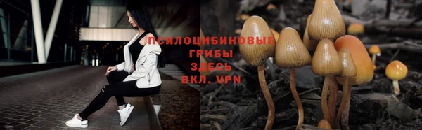 ALPHA-PVP Костерёво