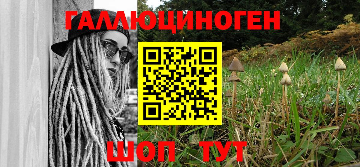Псилоцибиновые грибы мицелий Углич